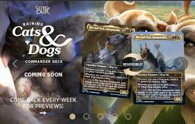 Secret Lair: It's Raining Cats and Dogs