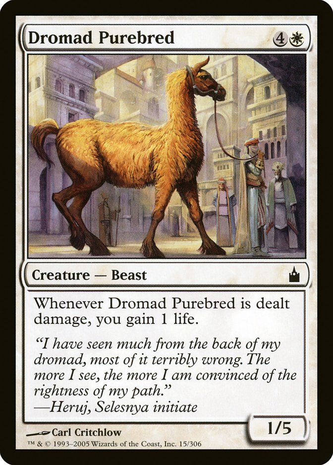 Dromad Purebred [Ravnica: City of Guilds] (15)