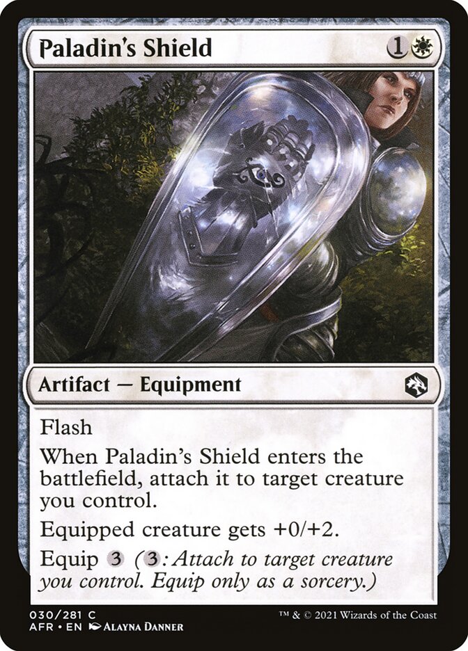 Paladin's Shield [Adventures in the Forgotten Realms] (30)
