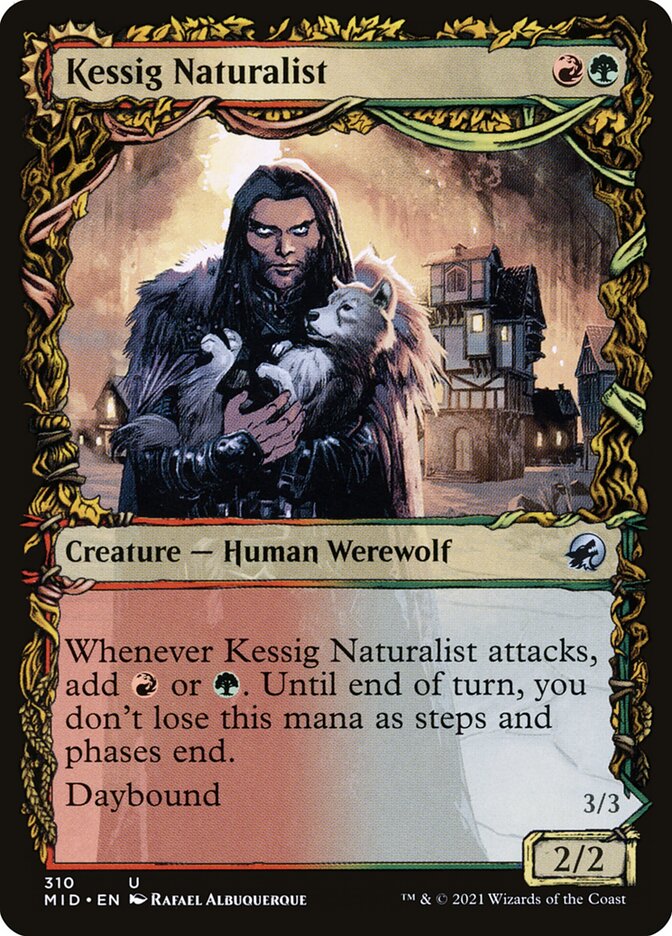 Kessig Naturalist // Lord of the Ulvenwald [Innistrad: Midnight Hunt] (310)