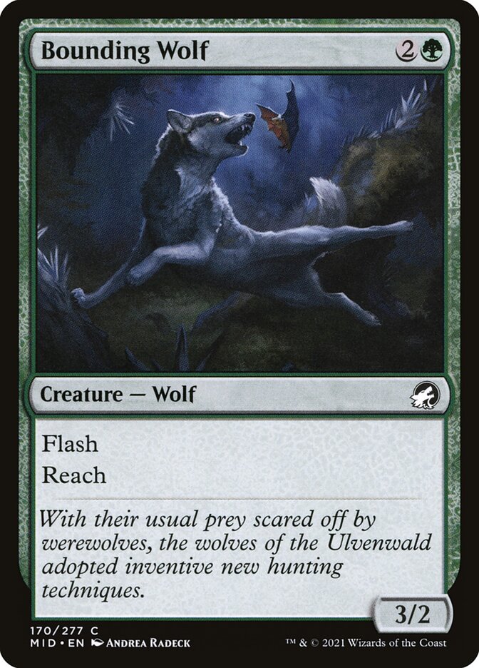 Bounding Wolf [Innistrad: Midnight Hunt] (170)