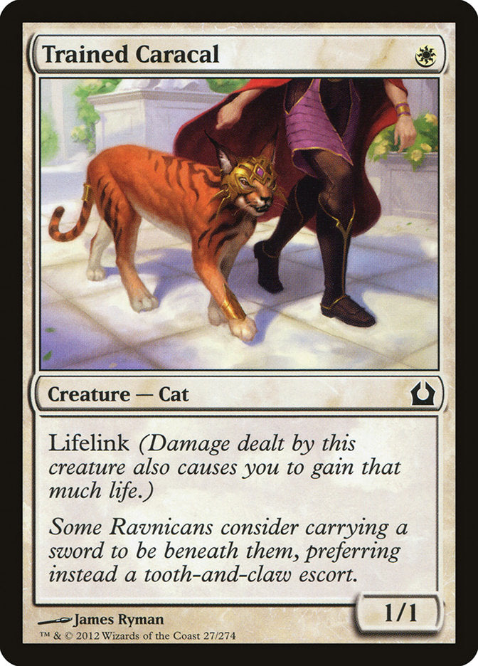 Trained Caracal [Return to Ravnica] (27)