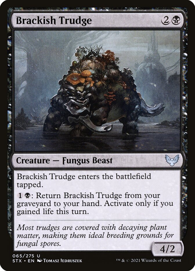 Brackish Trudge [Strixhaven: School of Mages] (65)