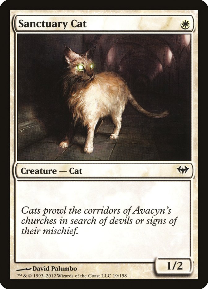 Sanctuary Cat [Dark Ascension] (19)