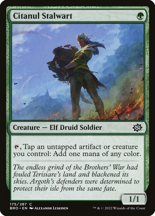 Citanul Stalwart [The Brothers' War] (175)