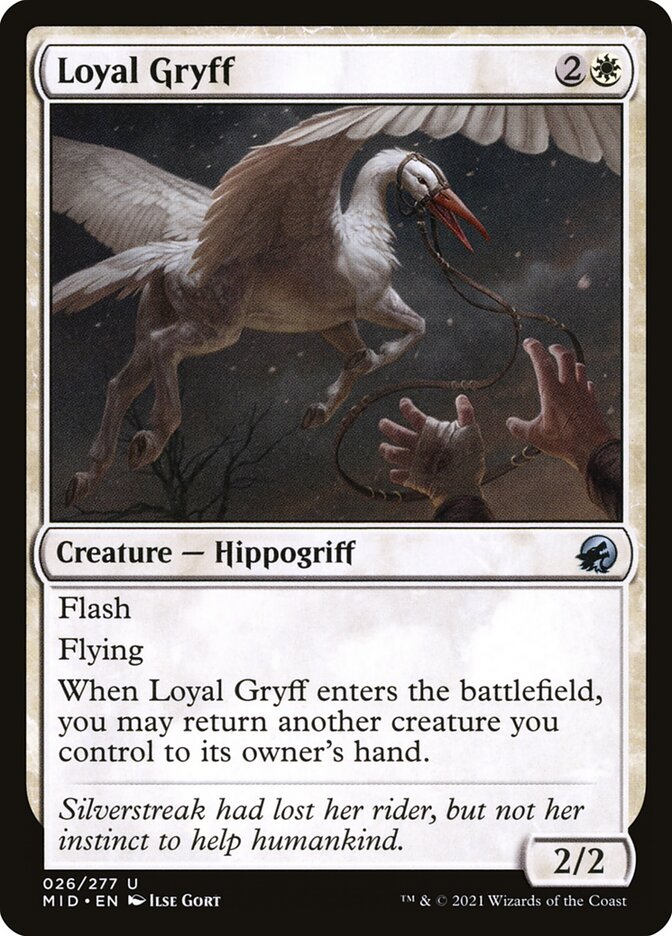 Loyal Gryff [Innistrad: Midnight Hunt] (26)