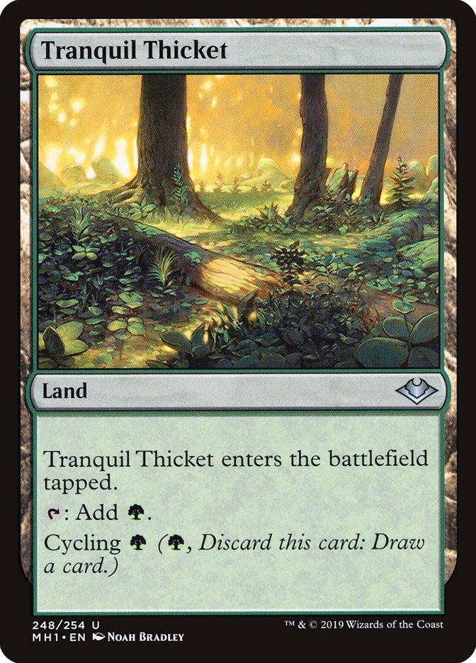 Tranquil Thicket [Modern Horizons] (248)