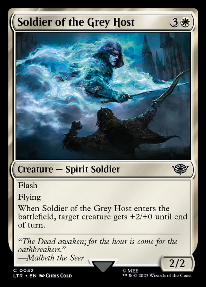 Soldier of the Grey Host [The Lord of the Rings: Tales of Middle-earth] (32)
