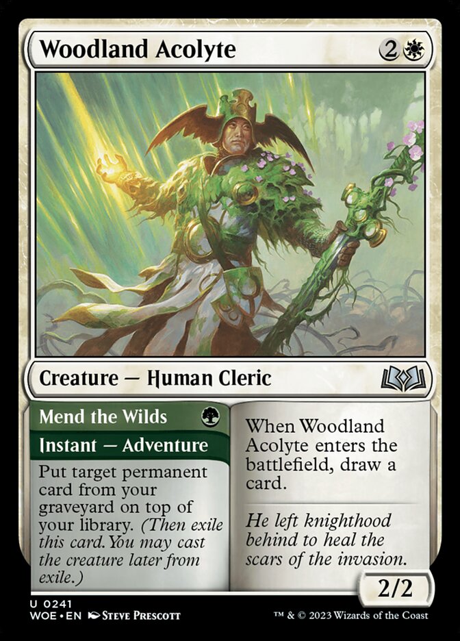 Woodland Acolyte // Mend the Wilds [Wilds of Eldraine] (241)