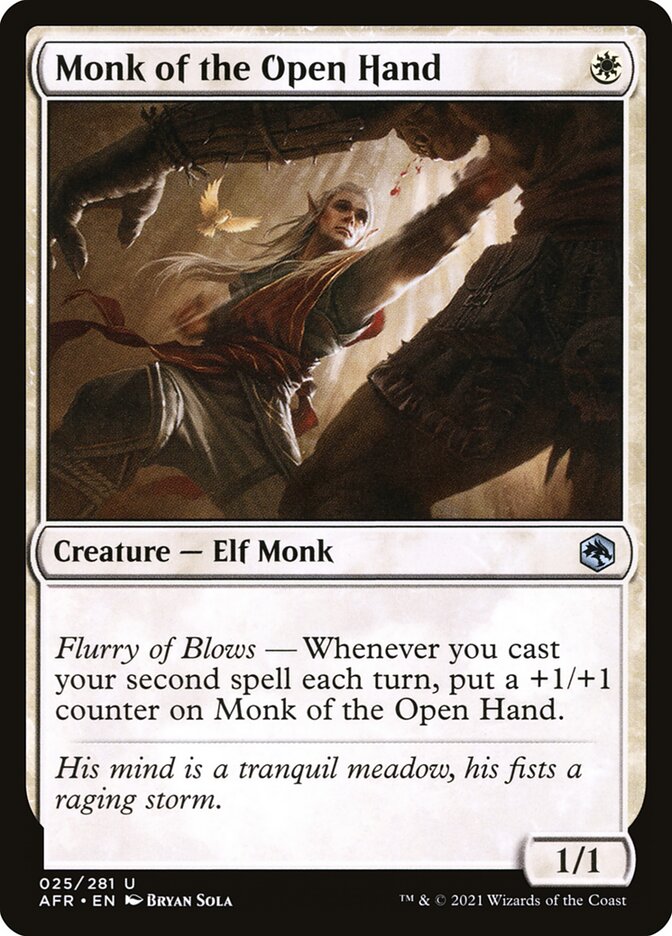 Monk of the Open Hand [Adventures in the Forgotten Realms] (25)