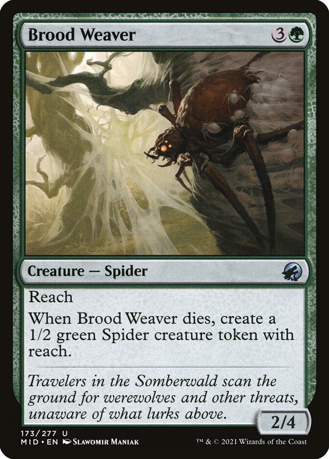 Brood Weaver [Innistrad: Midnight Hunt] (173)