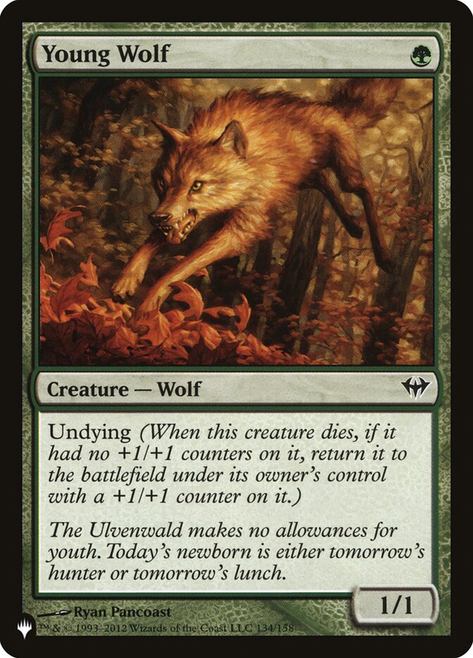 Young Wolf [The List] (DKA-134)