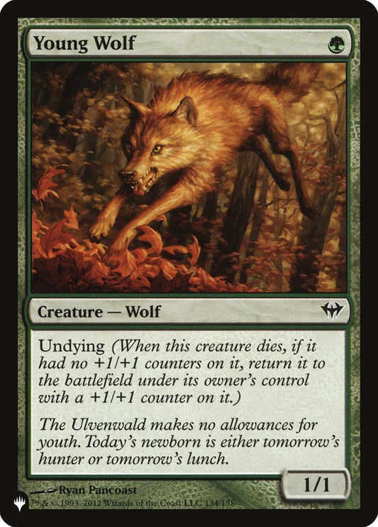 Young Wolf [The List] (DKA-134)