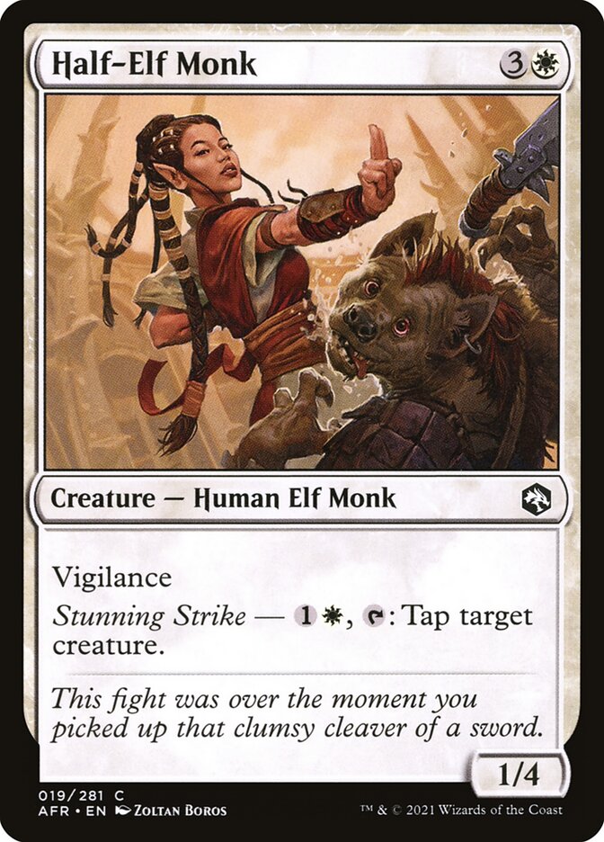 Half-Elf Monk [Adventures in the Forgotten Realms] (19)